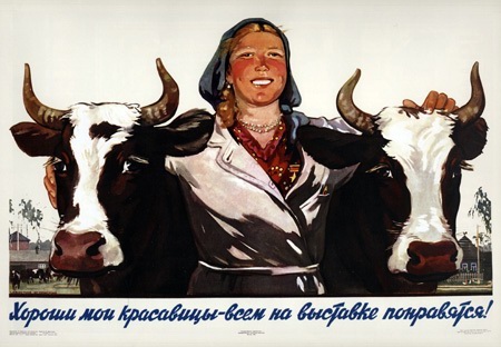 Послевоенные годы Волосовский район