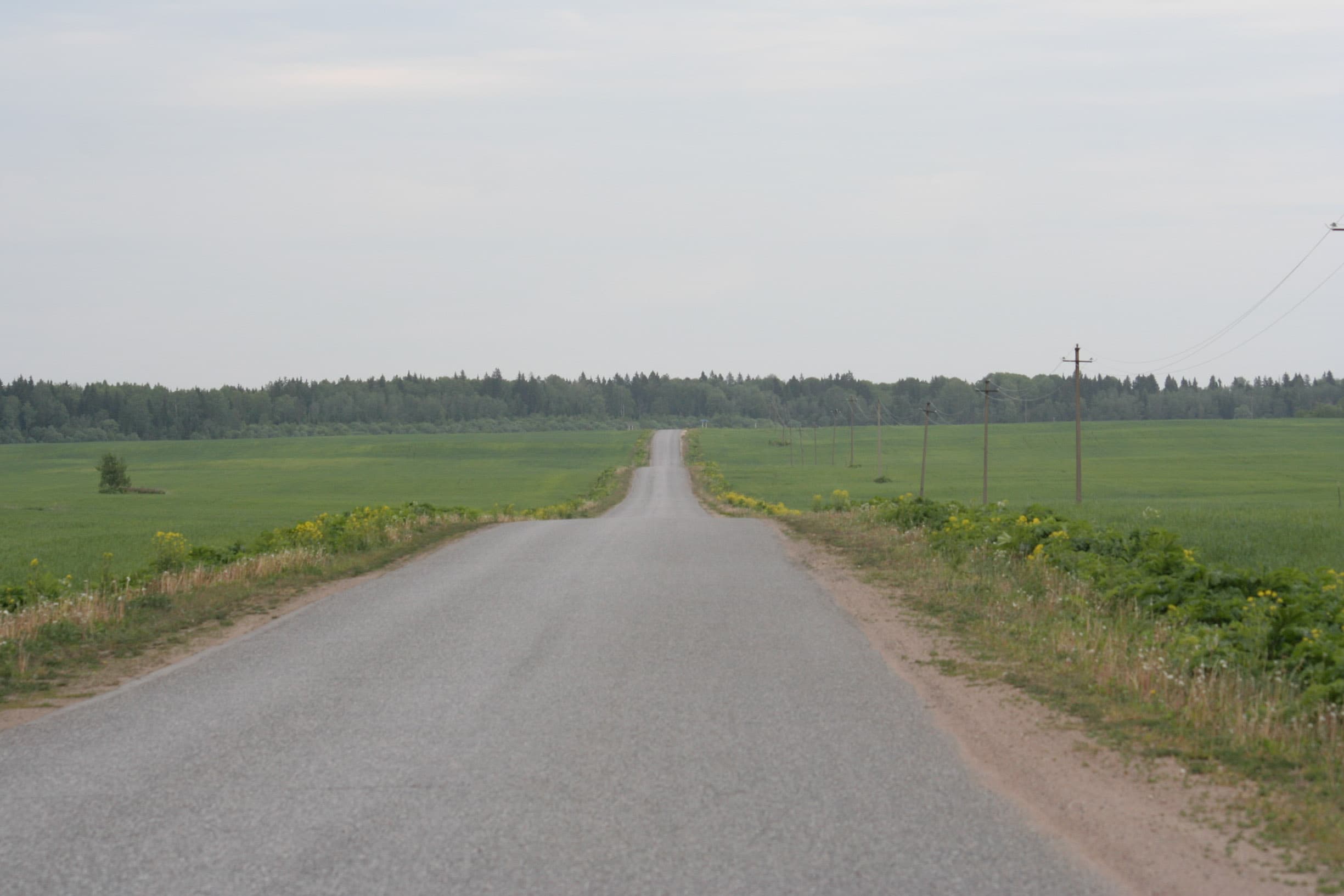 Ольхово Волосовского