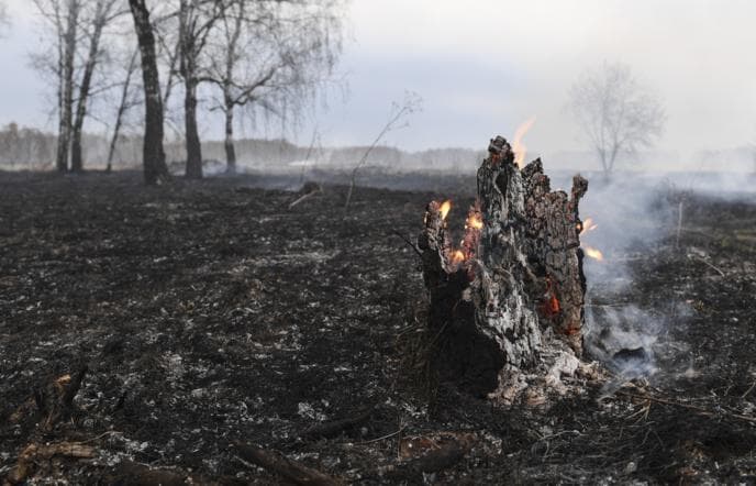 Самовозгорание в лесу